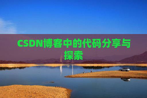 CSDN博客中的代码分享与探索